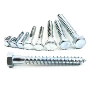 Coach Screws