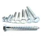 Coach Screws